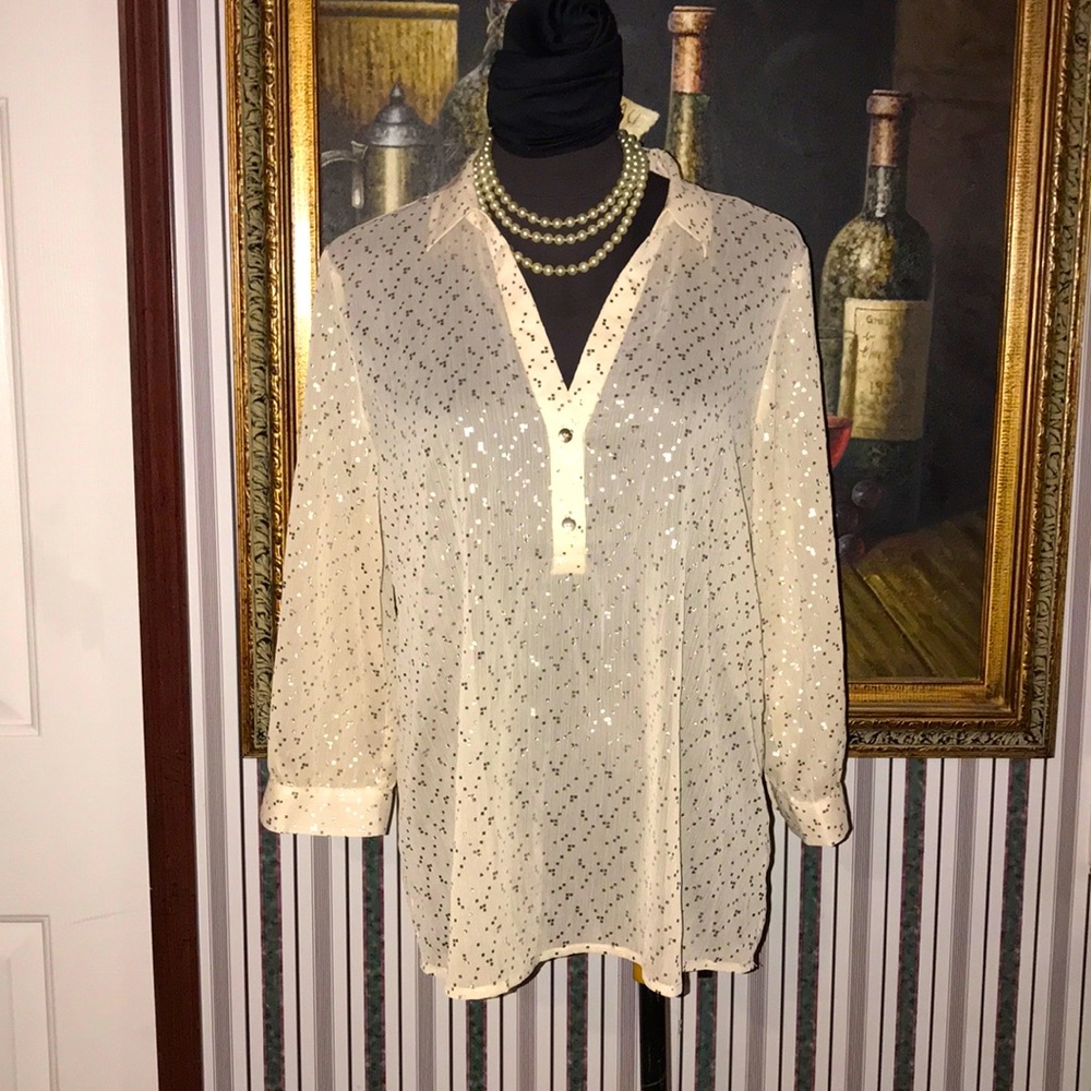 The limited woman’s dress shirt